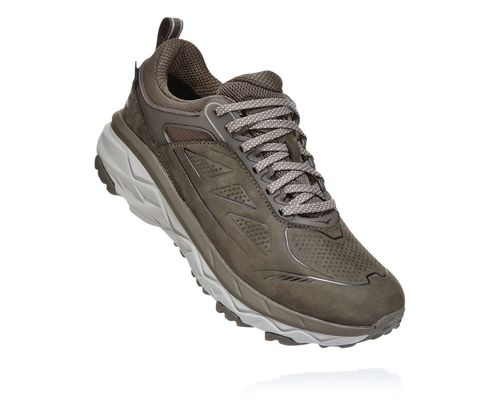 Women's Hoka One One Challenger Low GORE-TEX Hiking Boots Major Brown / Heather | RDPF41708