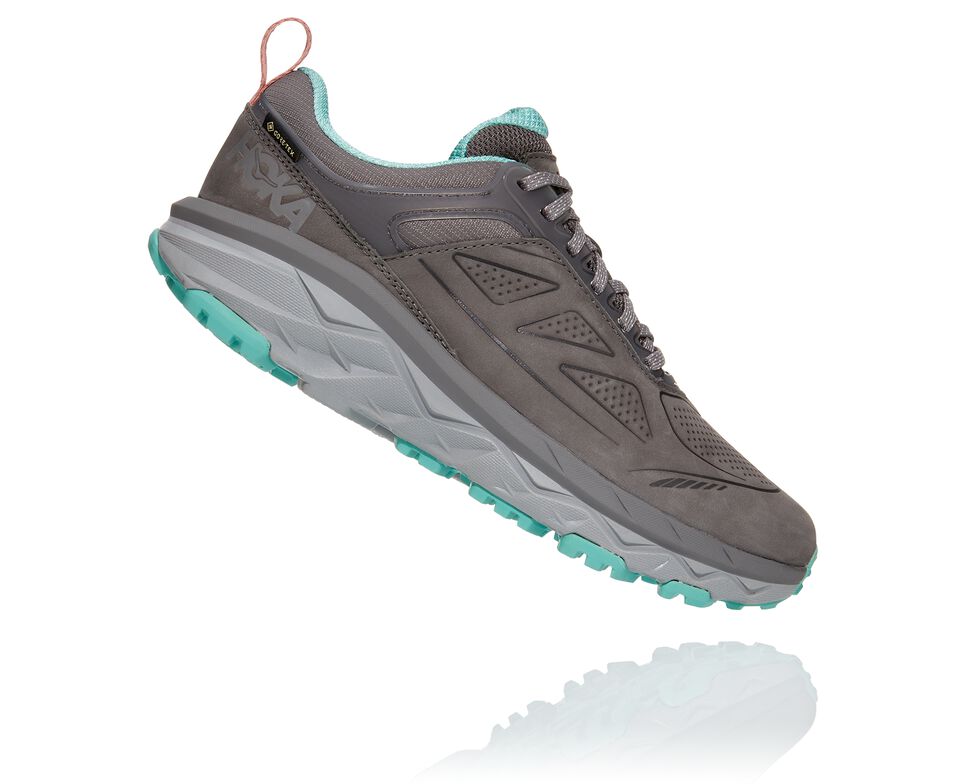 Women's Hoka One One Challenger Low GORE-TEX Hiking Boots Charcoal Gray / Wild Dove | KHFB46785